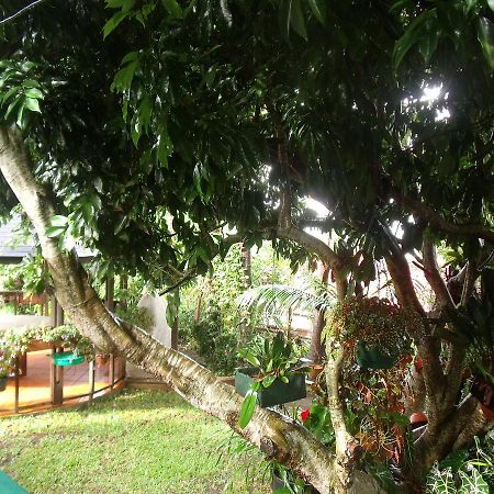 Les Agapanthes Villa Le Tampon Buitenkant foto