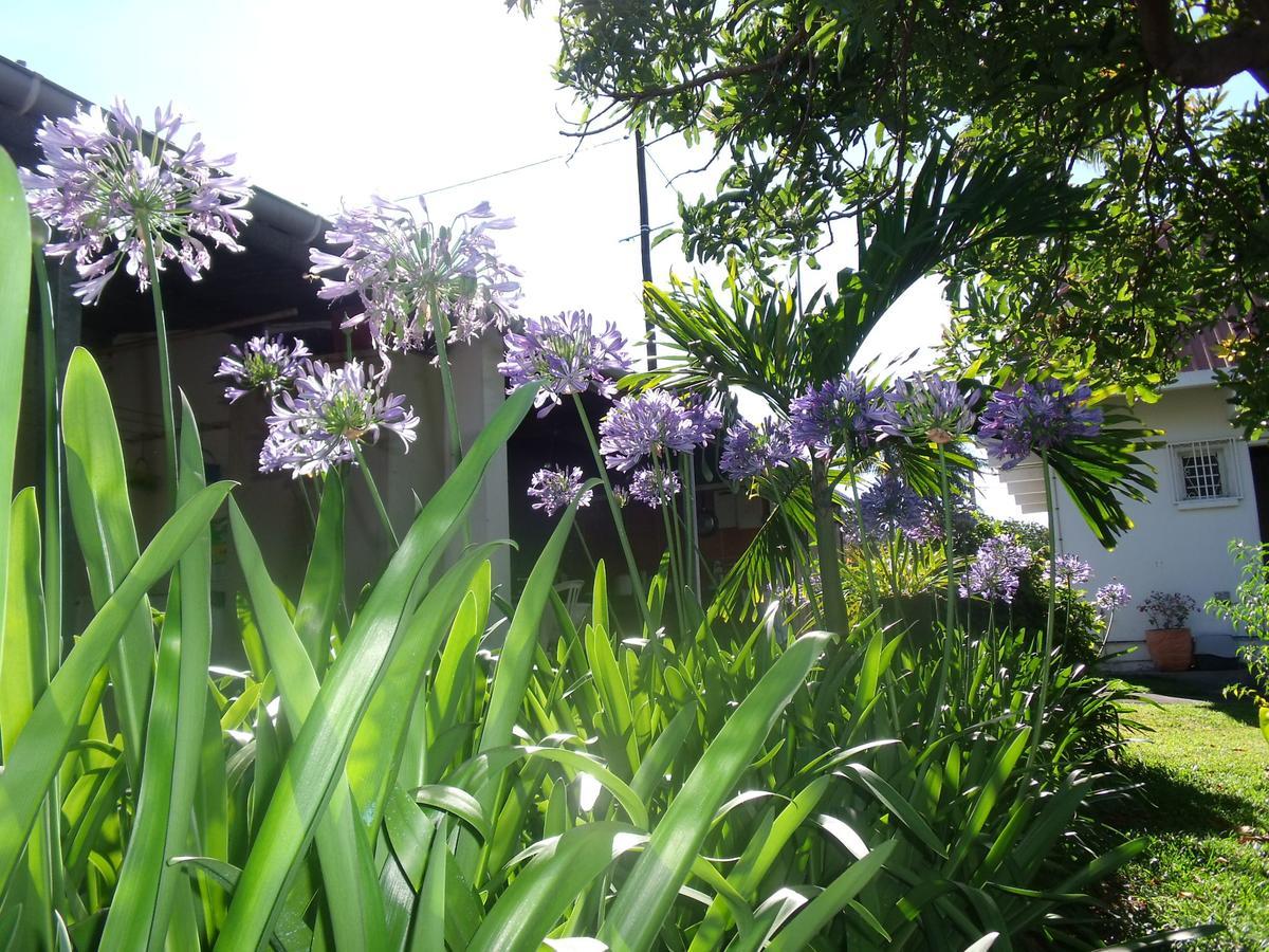 Les Agapanthes Villa Le Tampon Buitenkant foto