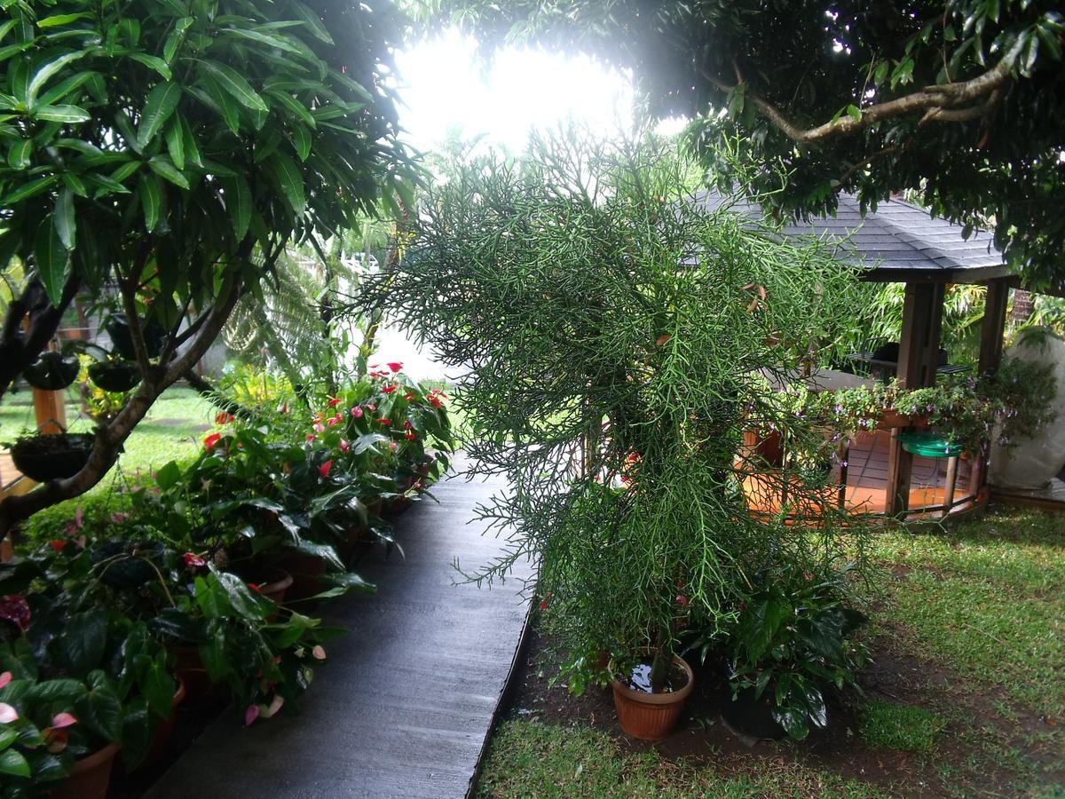 Les Agapanthes Villa Le Tampon Buitenkant foto