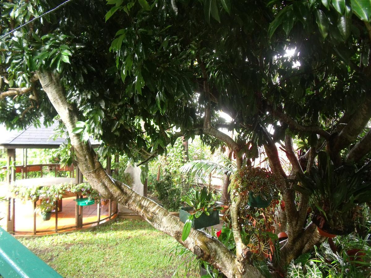Les Agapanthes Villa Le Tampon Buitenkant foto