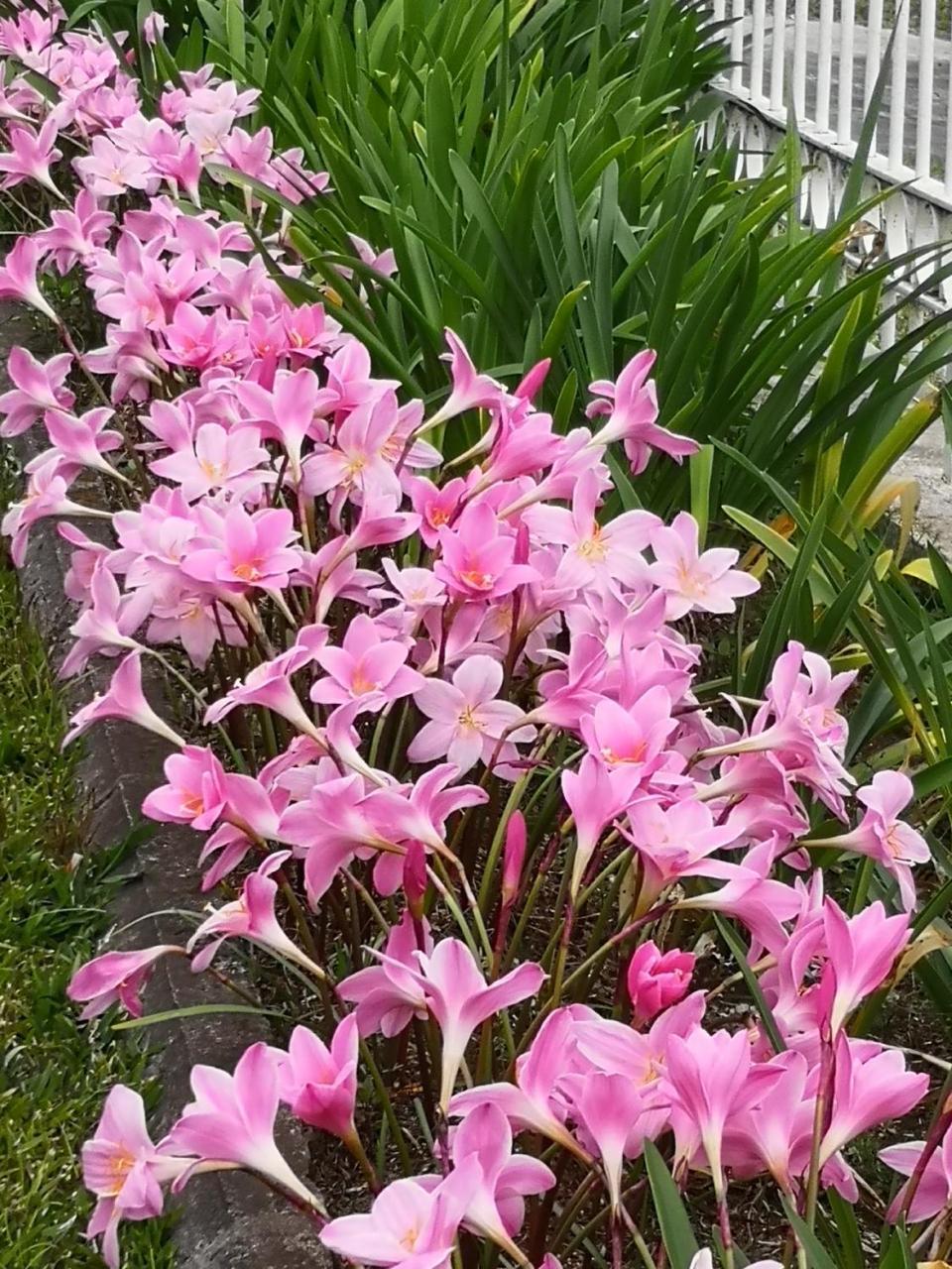 Les Agapanthes Villa Le Tampon Buitenkant foto